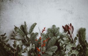 holiday season foliage arranged on a table as decoration.